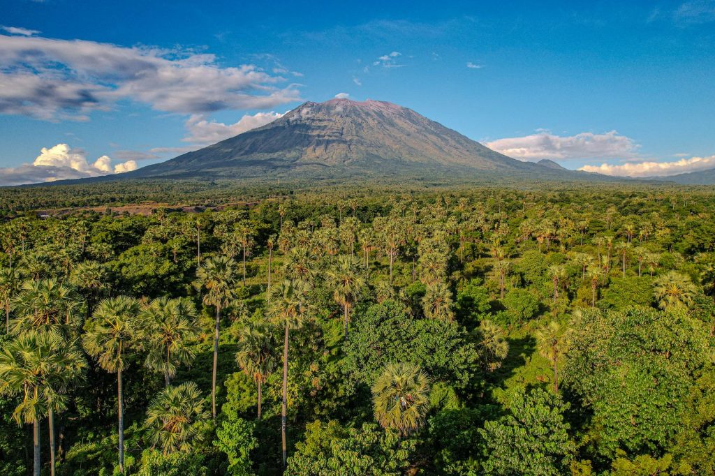 Vue du mont Agung dominant une vaste forêt tropicale à Bali, illustrant la richesse des paysages volcaniques indonésiens.