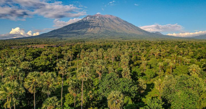 Vue du mont Agung dominant une vaste forêt tropicale à Bali, illustrant la richesse des paysages volcaniques indonésiens.