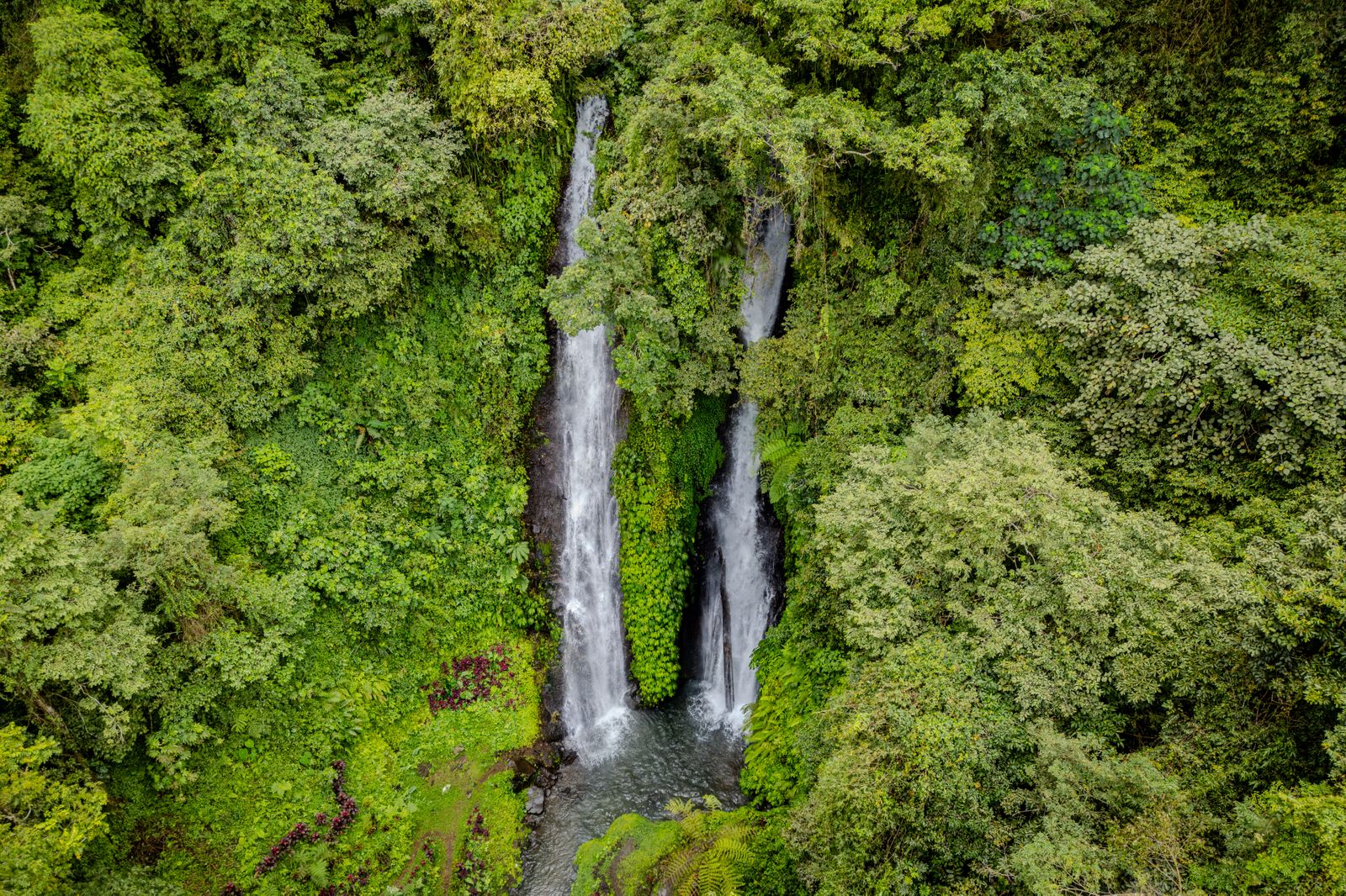 Aerial view of a hidden twin waterfall surrounded by lush tropical rainforest in Bali, Indonesia.