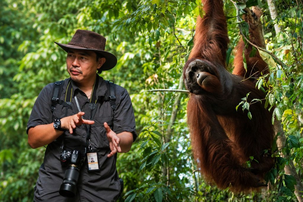 Bill Patrick standing beside an orangutan in a rainforest setting in Borneo.