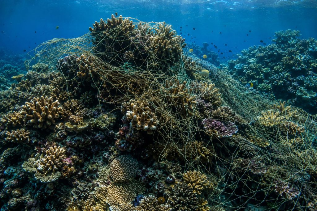 A ghost net covering a coral reef in a tropical marine environment.