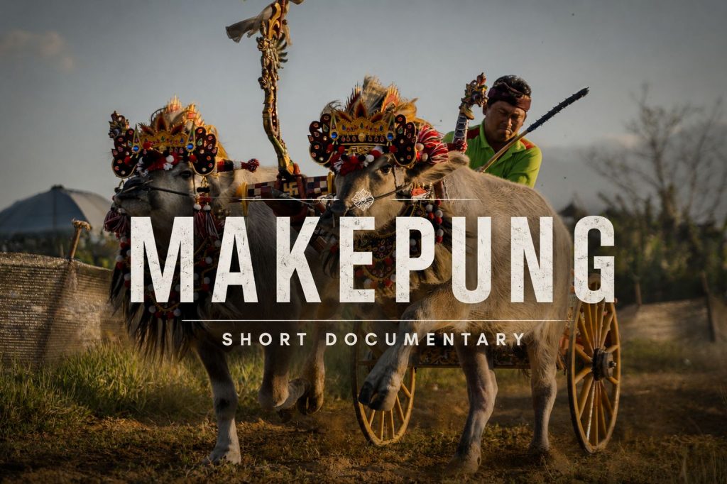 Jockey conduisant deux buffles décorés pendant une course de Makepung Bali