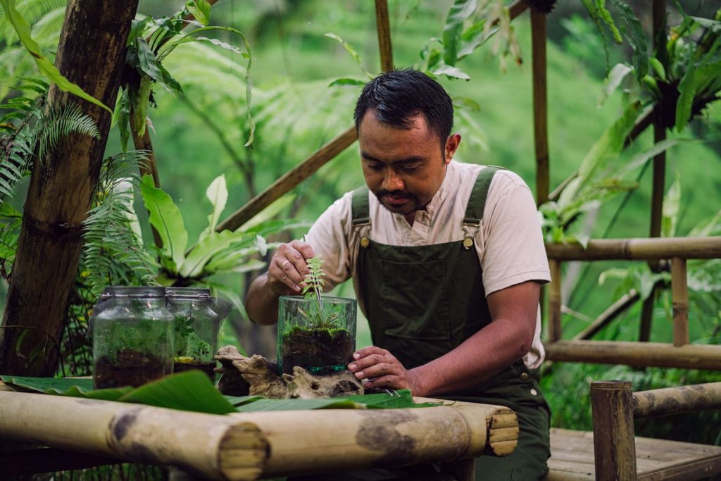 Wayan Wardika working with a small firefly habitat as part of the Bring Back the Light conservation project in Bali.