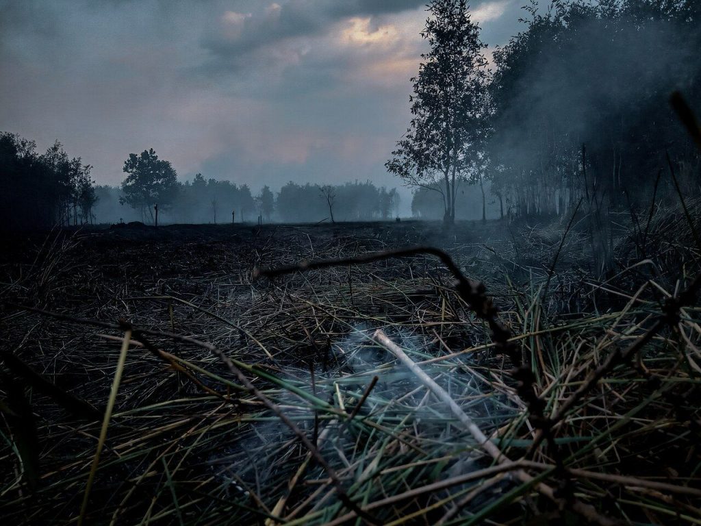 Burned peatland in Indonesia with smoke rising from scorched vegetation.