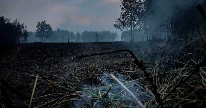 Burned peatland in Indonesia with smoke rising from scorched vegetation.