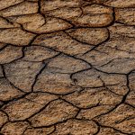 El Niño: When the Pacific Heats Up
