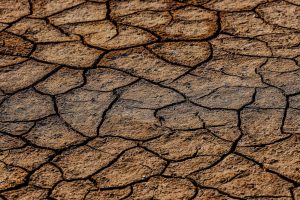 Cracked dry soil illustrating drought conditions.