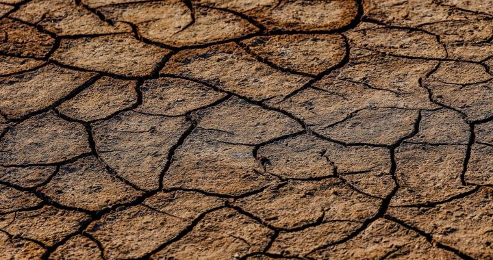 Cracked dry soil illustrating drought conditions.