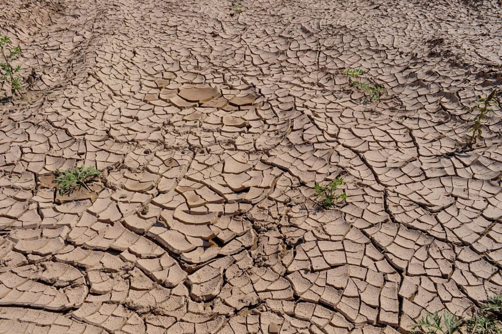 Deep cracks spread across parched soil, illustrating the effects of prolonged drought, extreme heat and water scarcity.