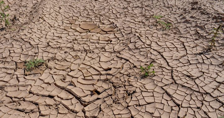 Deep cracks spread across parched soil, illustrating the effects of prolonged drought, extreme heat and water scarcity.