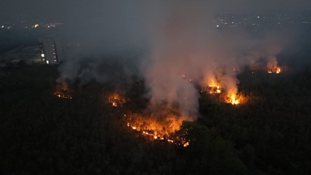 Forest fires burning in Kalimantan, Indonesia, producing thick smoke and contributing to regional wildfire haze.