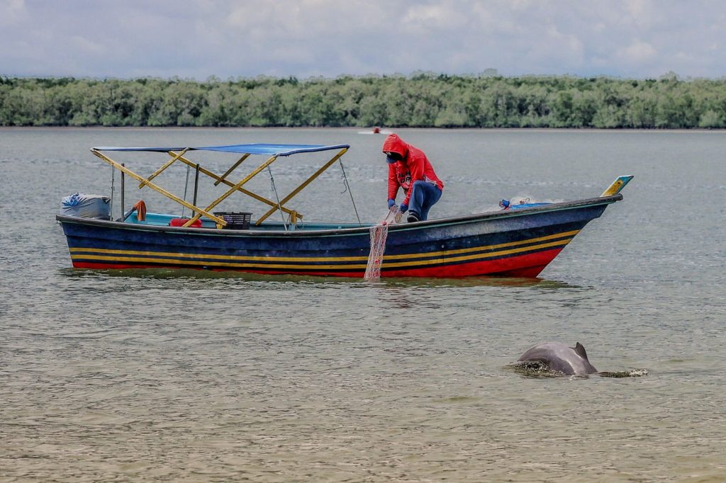 An Irrawaddy dolphin surfaces near a small fishing boat on a river.