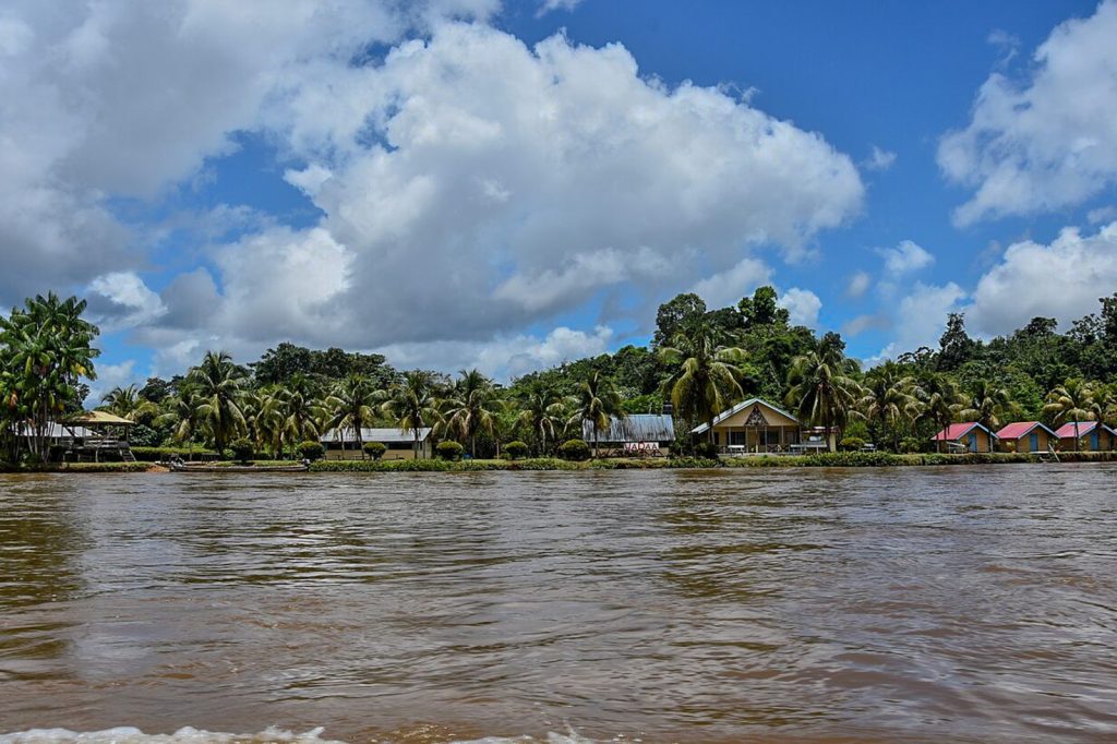 The Maroni River in French Guiana under normal water conditions, with tropical vegetation, palm trees and houses along its banks.